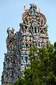 The great Chola temples of Tamil Nadu - the Sri Meenakshi-Sundareshwarar Temple of Madurai. The immense gopura gates of the outer walls. 